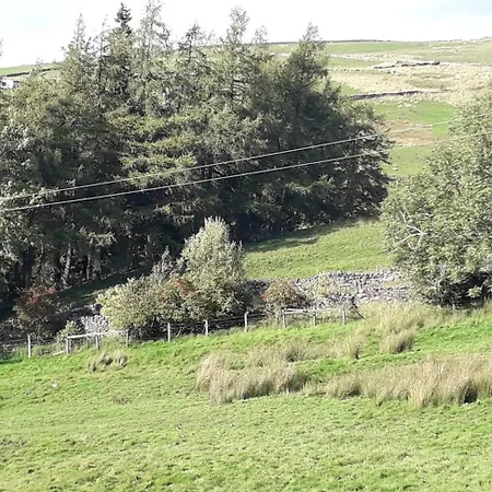 Hedgehog's Hideaway,a Peaceful Retreat In Nenthead Apartament *