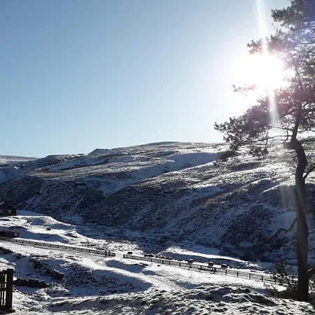 Apartment Hedgehog's Hideaway,a Peaceful Retreat In Nenthead Alston