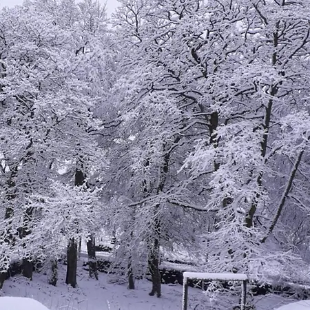Hedgehog's Hideaway,a Peaceful Retreat In Nenthead * Alston